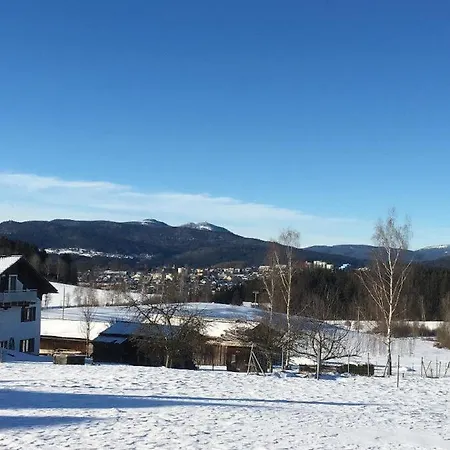 Apartman Pauli Zwiesel